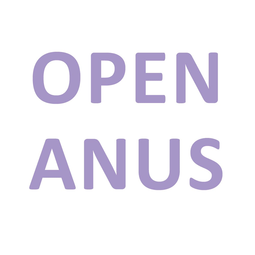 Open Anus Custom Option Bodysuit or Vagina pant - Need 7 days to process customization