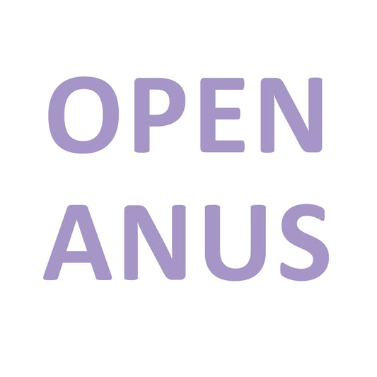 Open Anus Custom Option Bodysuit or Vagina pant (Unavailable for 8G panty) - Need 7 days to process customization